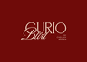 Time Capsule Journal by Curio Blvd logo