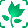 PictureThis logo