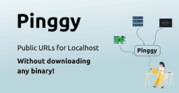 Pinggy