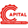 Pippit AI logo