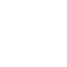 SegWize logo