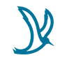 Tern logo