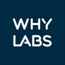 WhyLabs logo