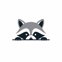 Activity Racoon