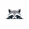 Activity Racoon
