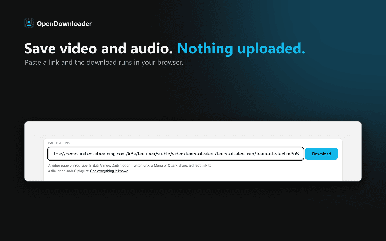 OpenDownloader screenshot 1