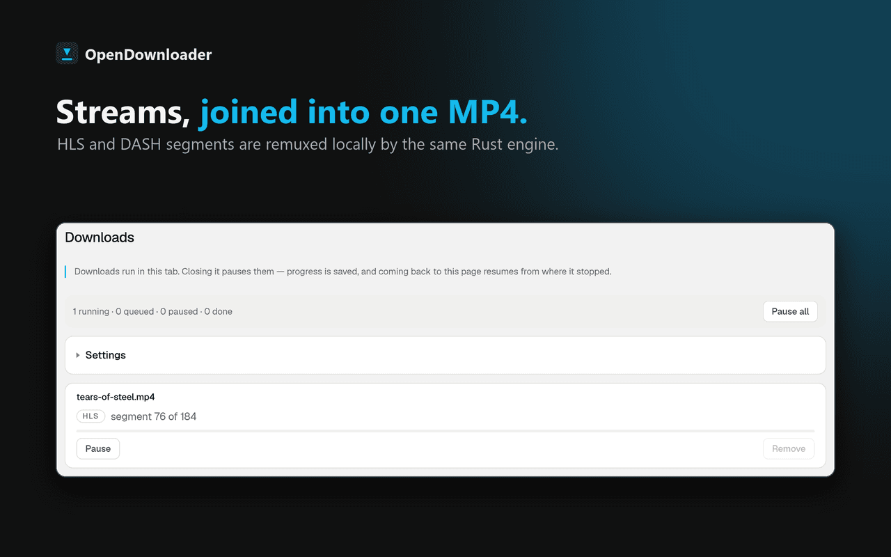 OpenDownloader screenshot 2