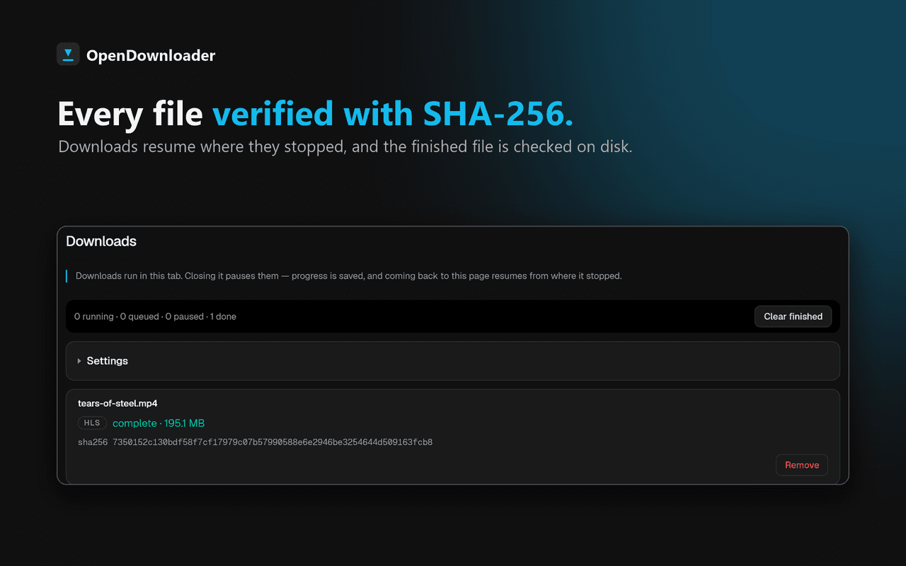 OpenDownloader screenshot 3