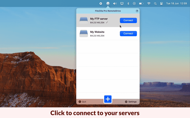 RemoteDrive by FileZilla Pro screenshot 2