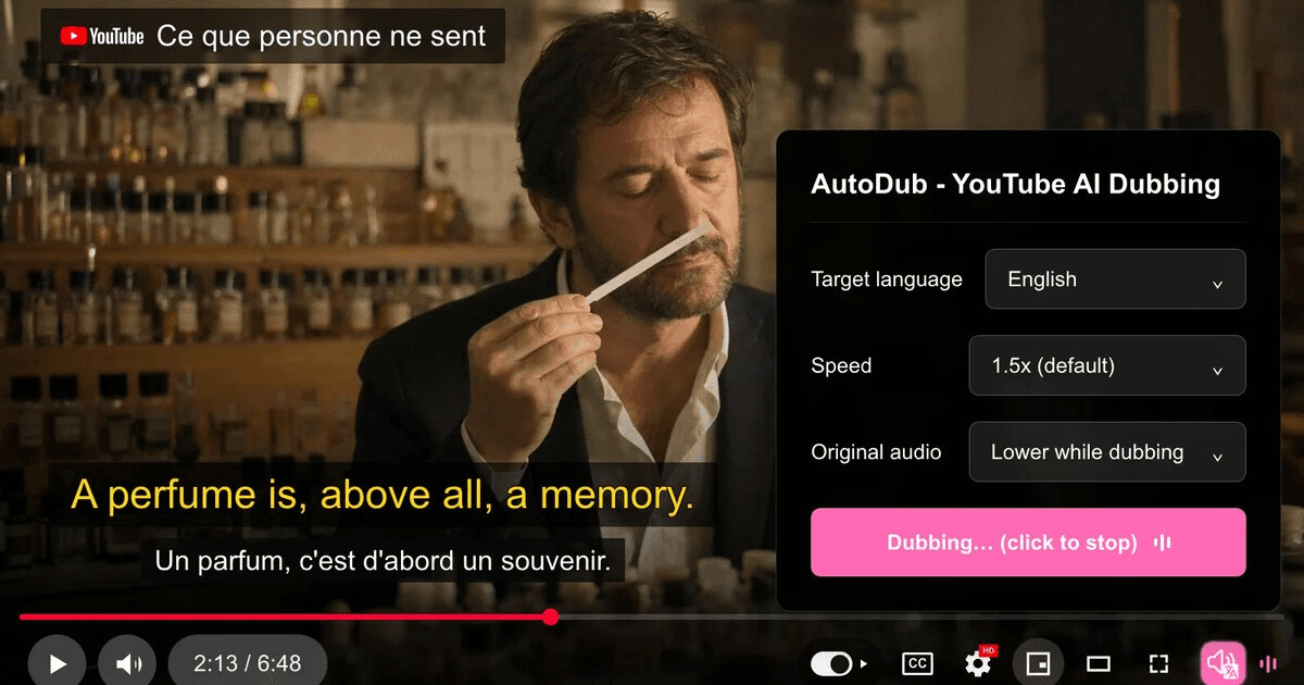 AutoDub screenshot 1
