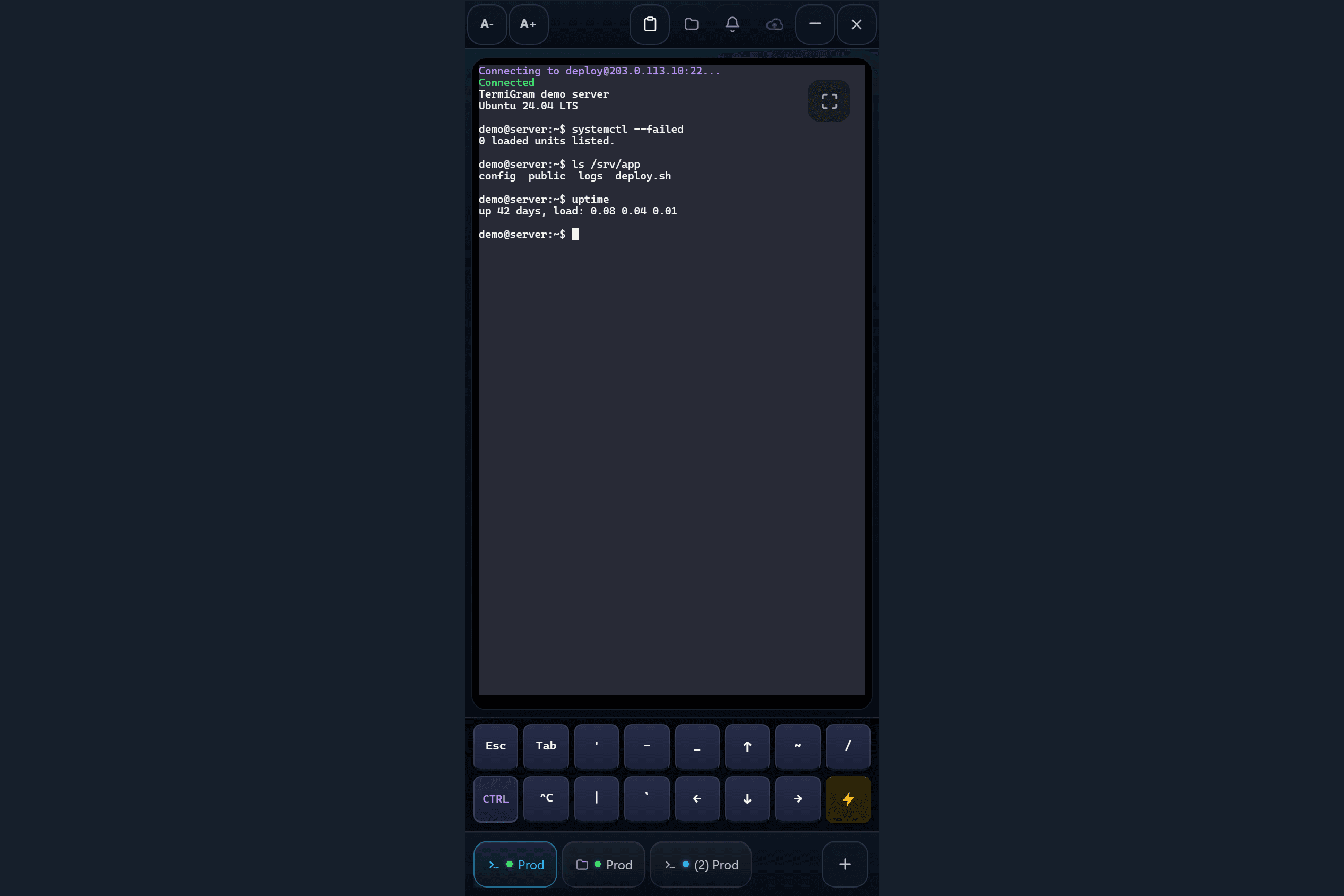 TermiGram screenshot 2