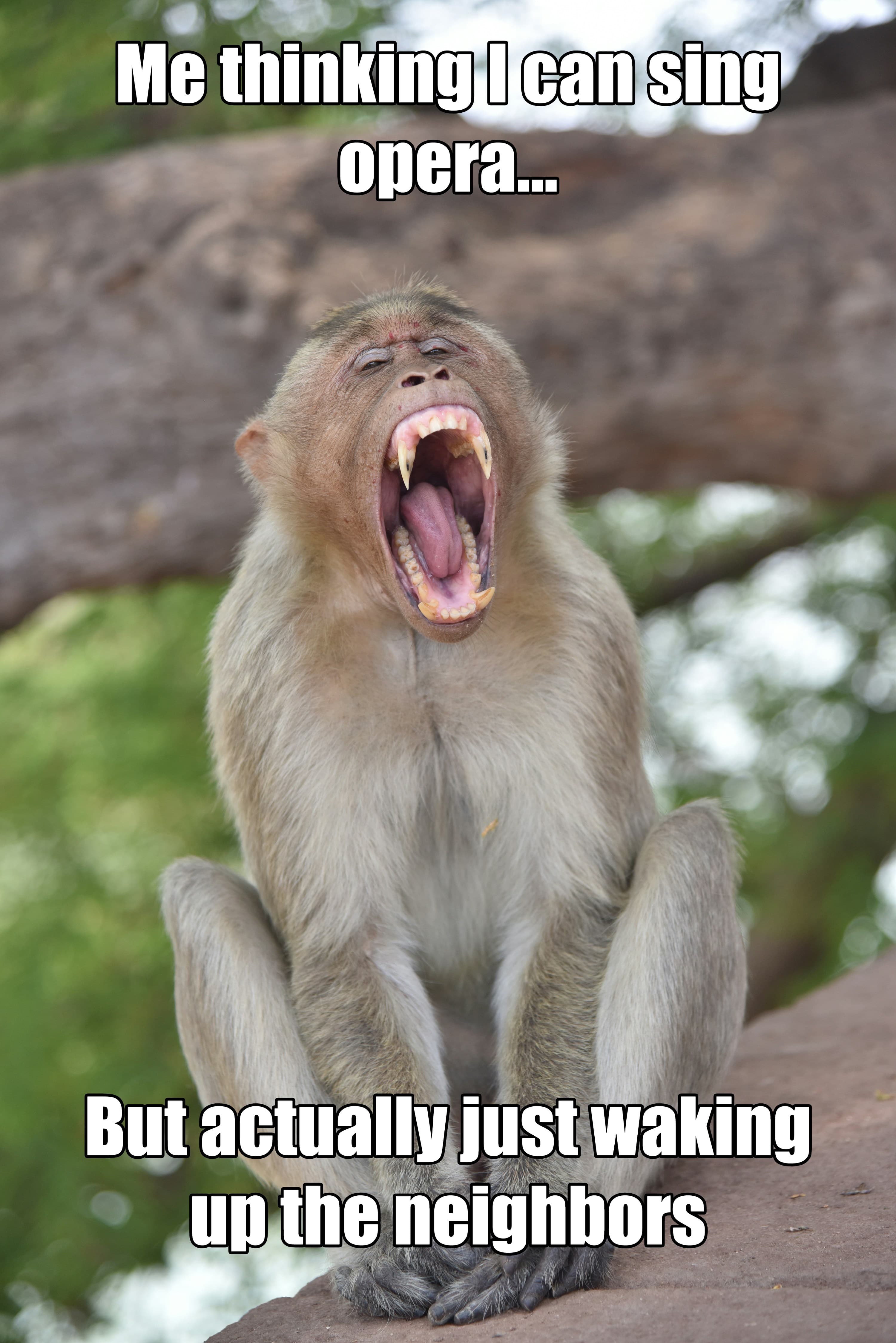 PicToMeme screenshot 5