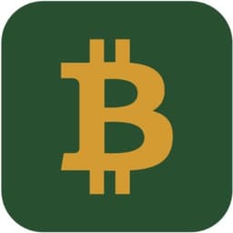 Bitcoin Loans Market