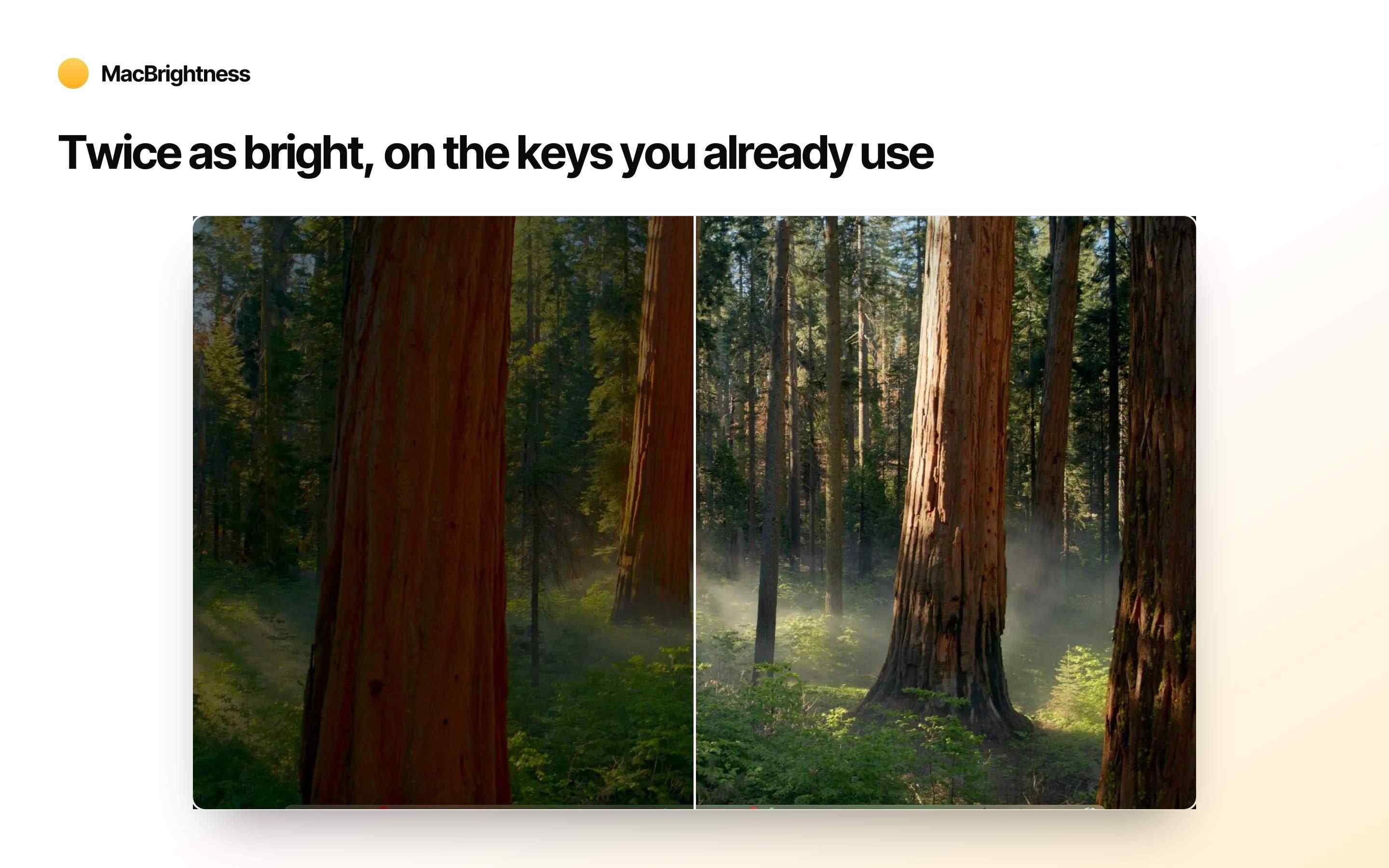 MacBrightness screenshot 1
