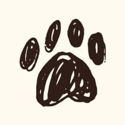 Pawjojo
