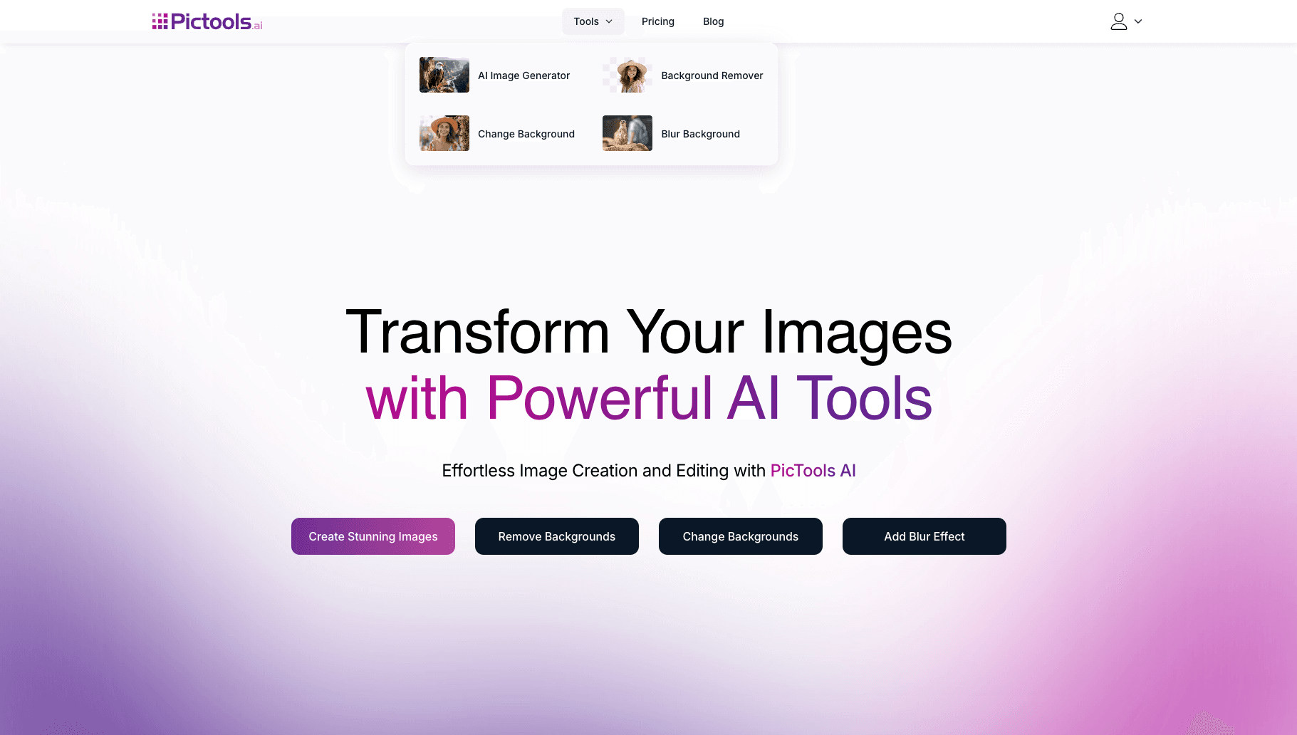 PicTools AI screenshot 1