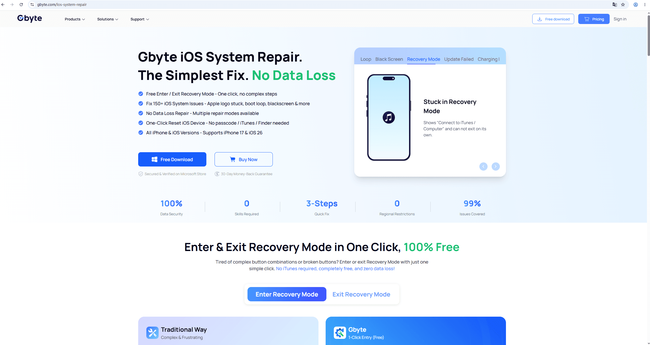 Gbyte Repair screenshot 1