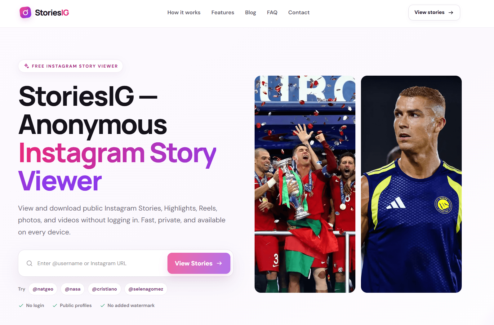 StoriesIG screenshot 1