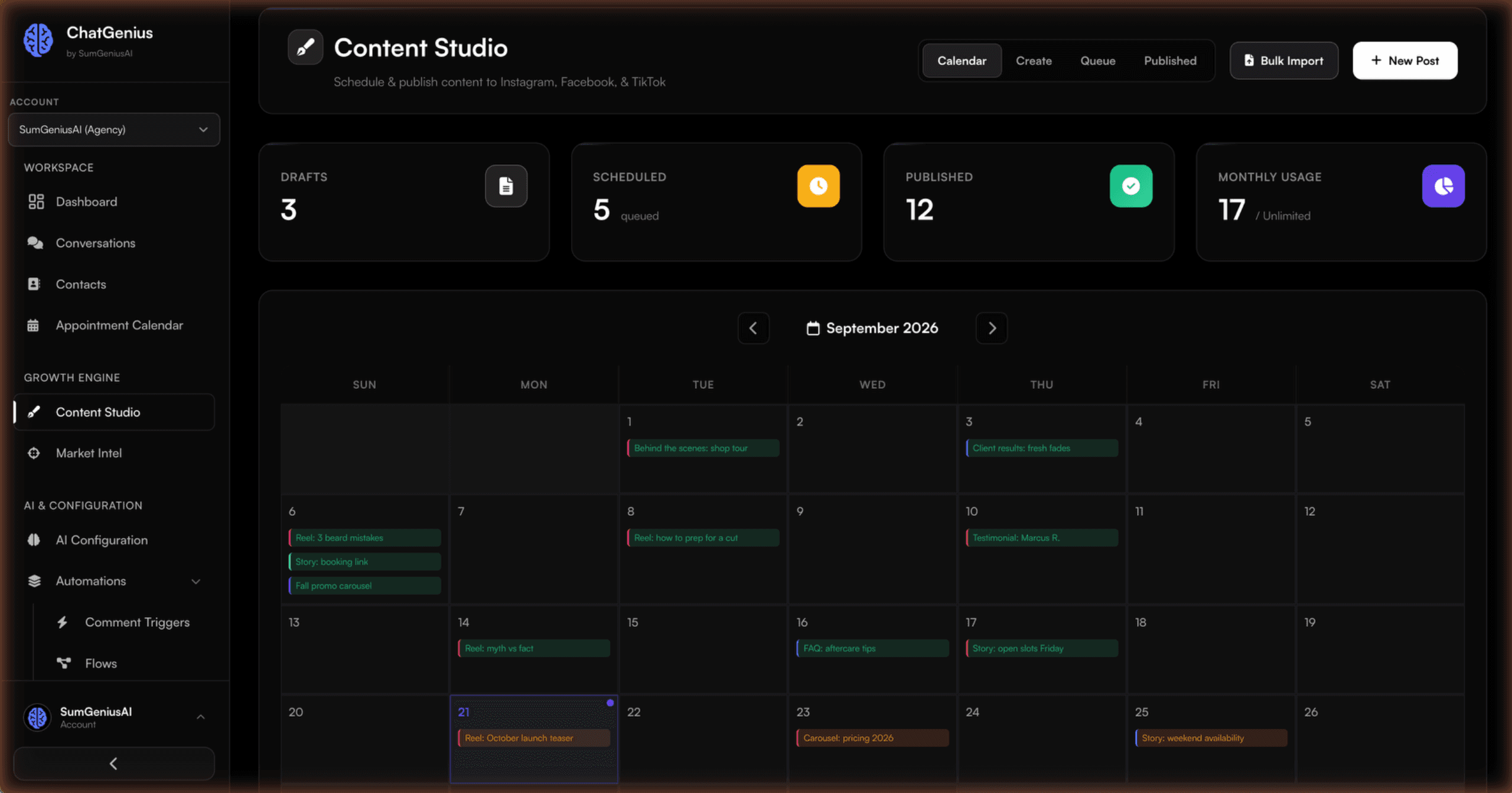 SumGeniusAI screenshot 4