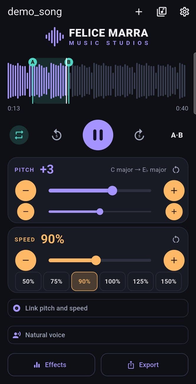 Music Pitch & Speed Changer screenshot 1