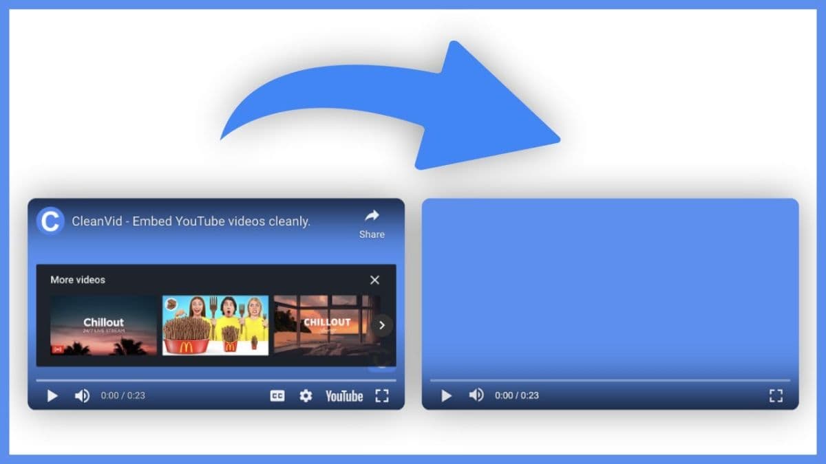 CleanVid screenshot 1