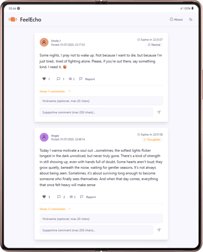 FeelEcho screenshot 2