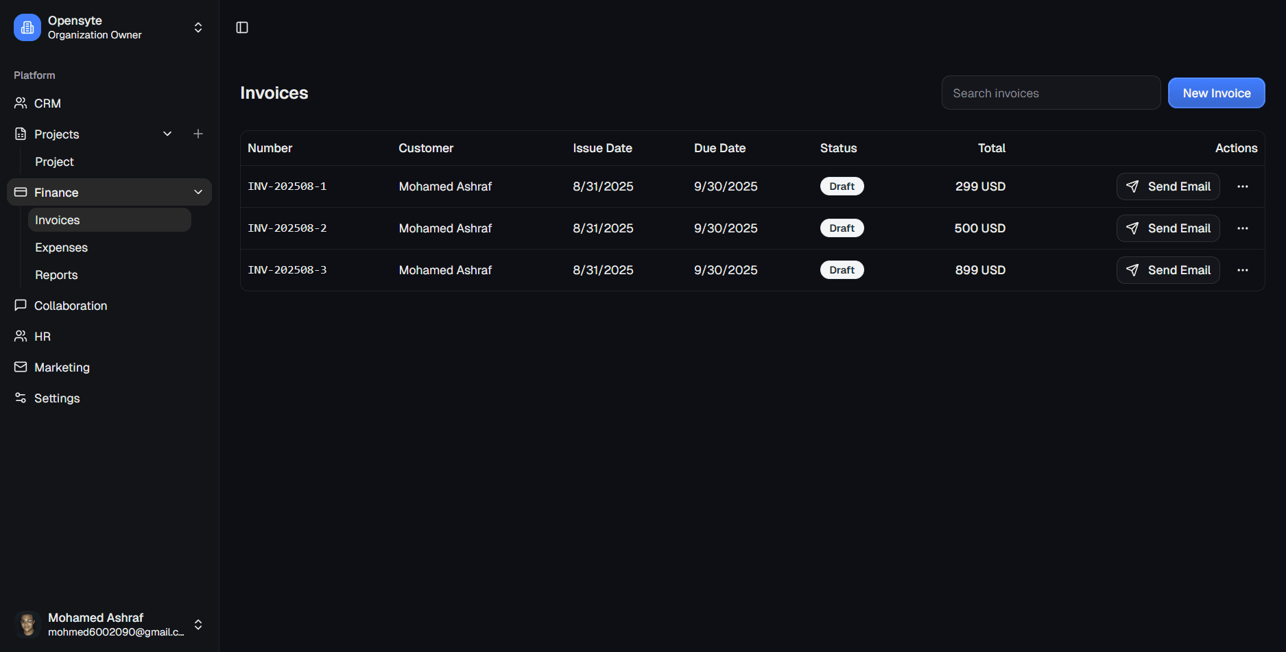 OpenSyte screenshot 2