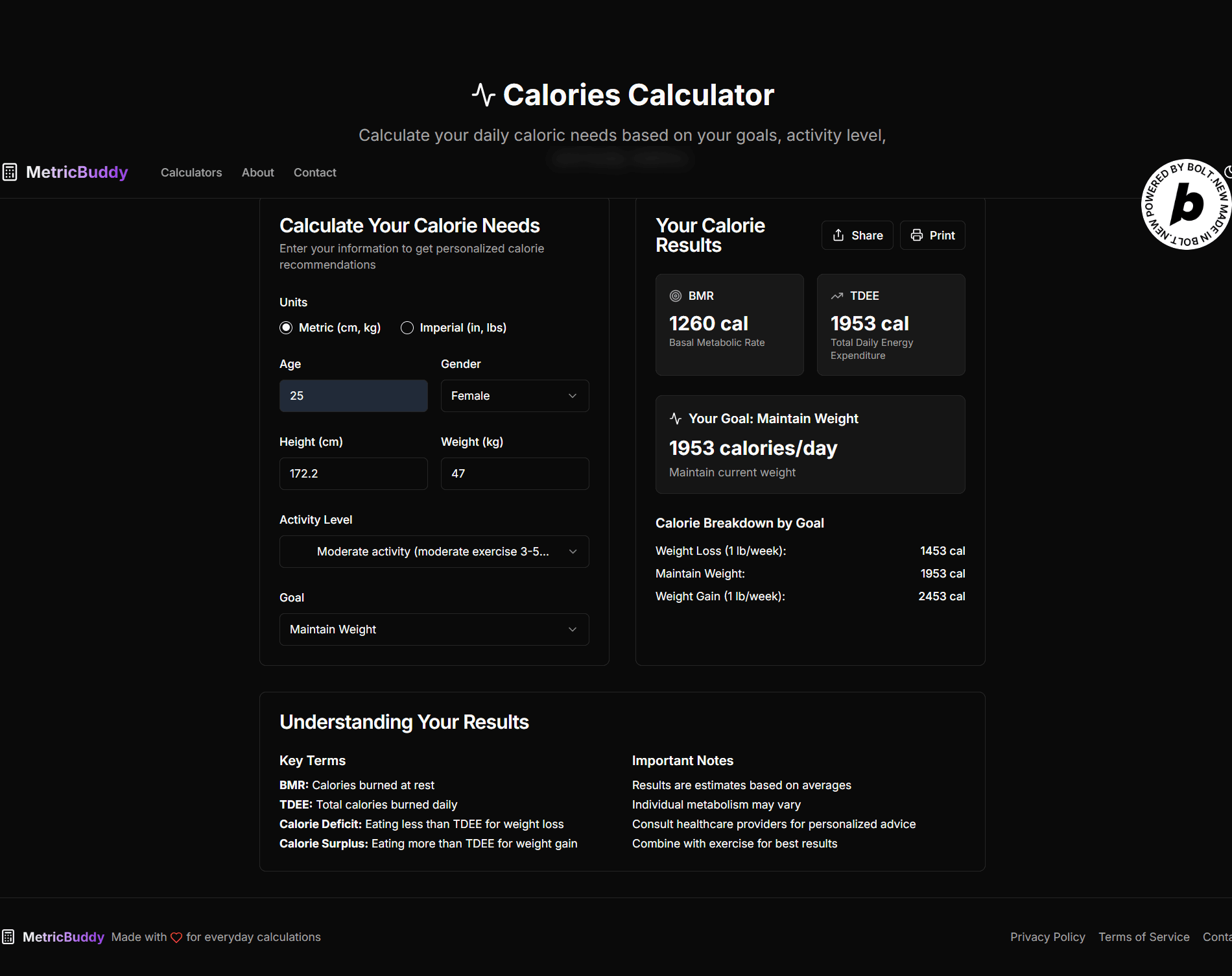 MetricBuddy screenshot 1