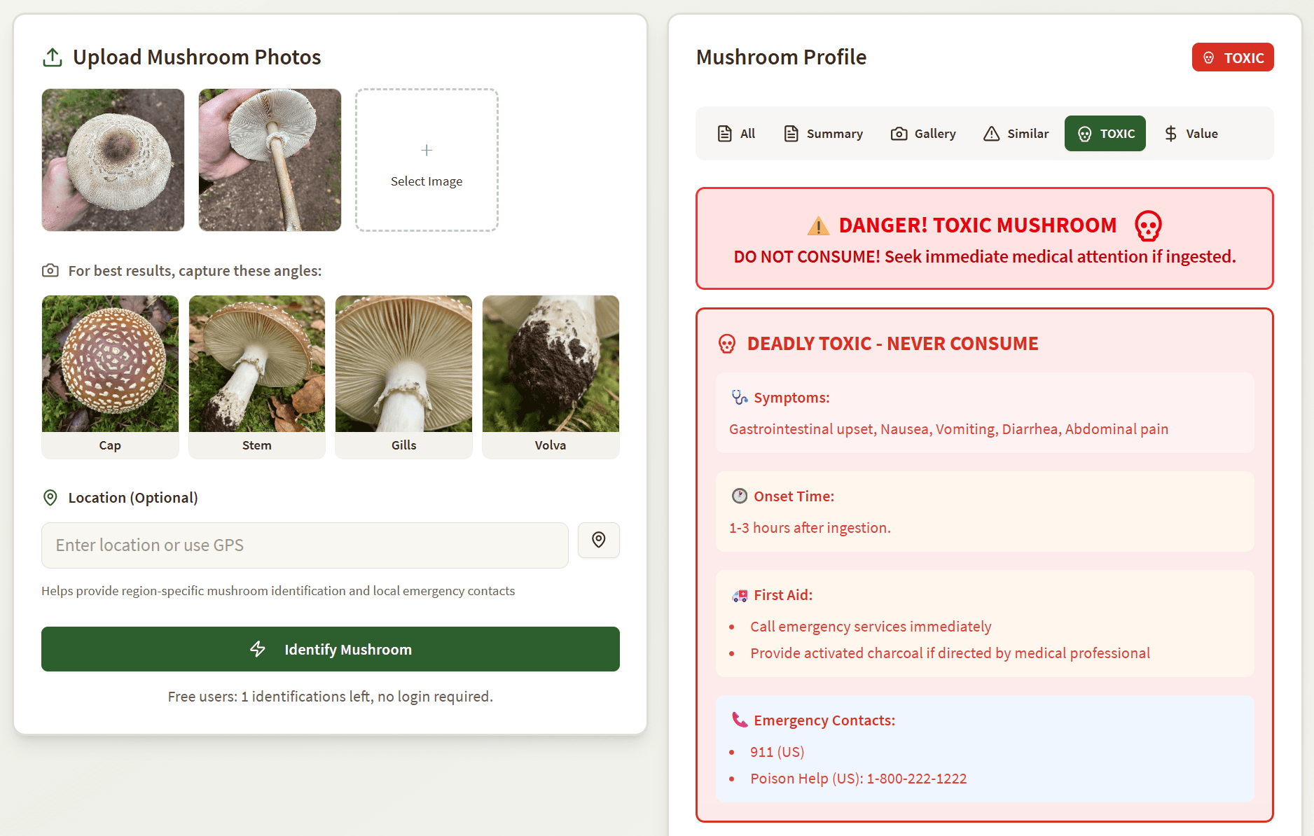 Mushroom Identifier screenshot 3