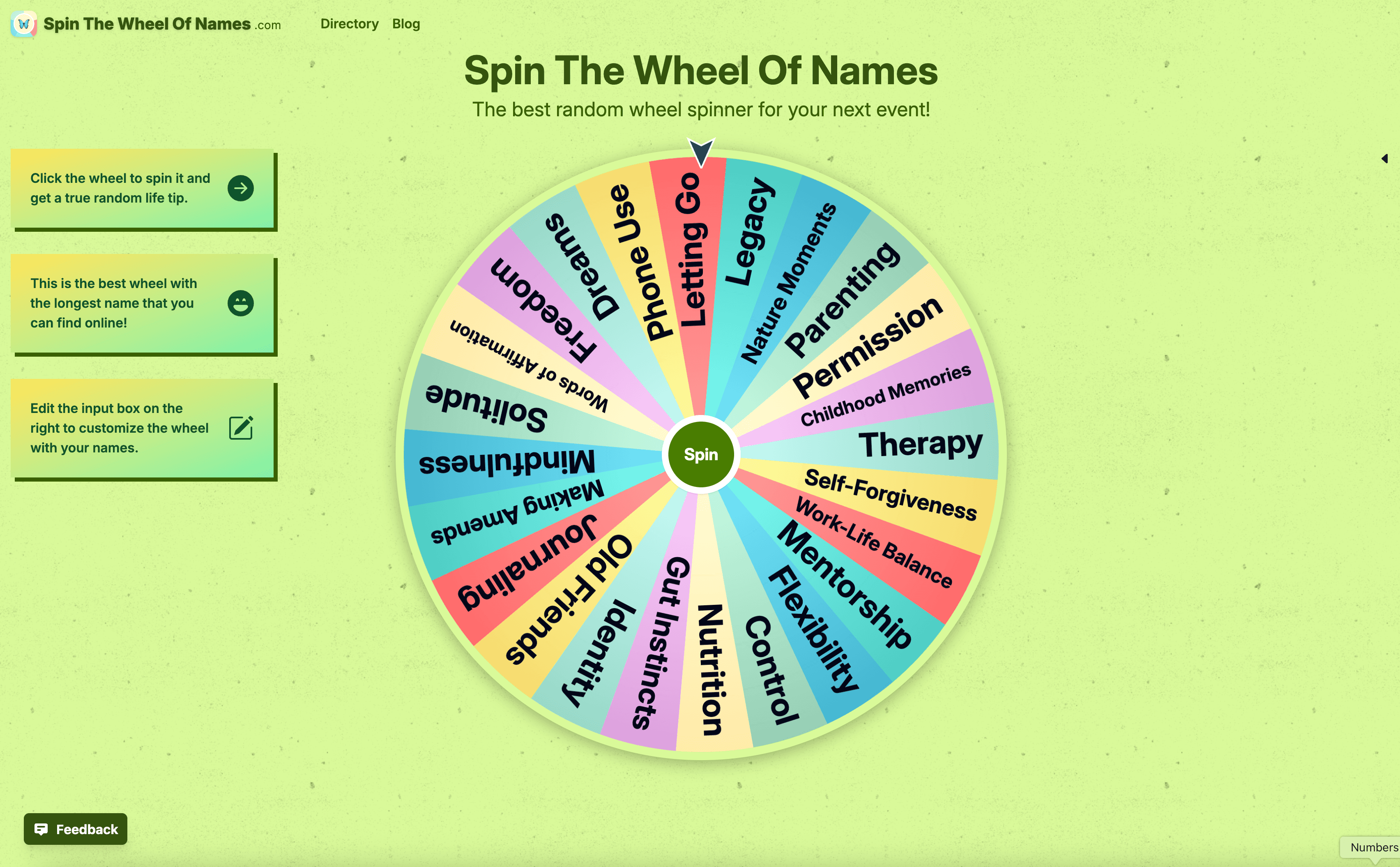 Spin The Wheel Of Names screenshot 1